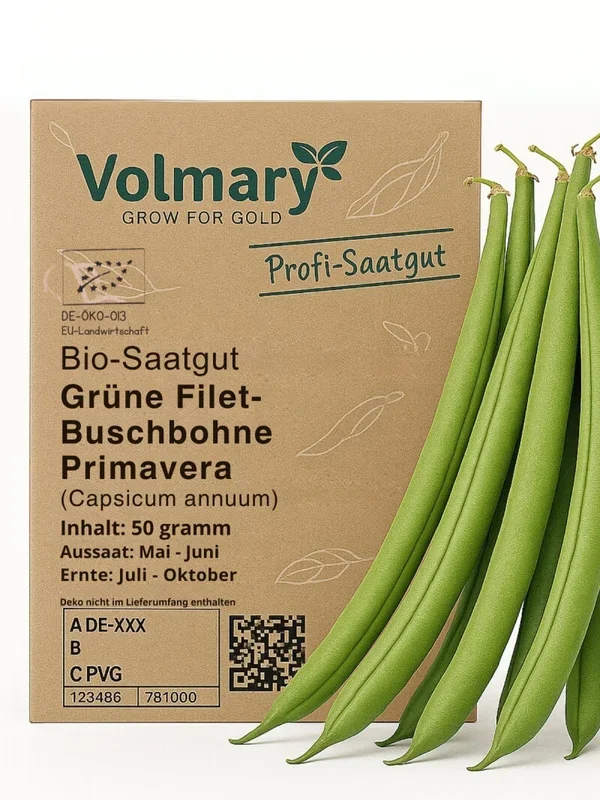 Grüne Filet-Buschbohne Primavera, Bio-Samen, sehr ertragreich, widerstandsfähig, standfester Wuchs