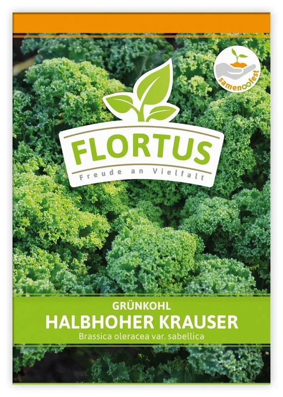 Grünkohl Halbhoher Krauser