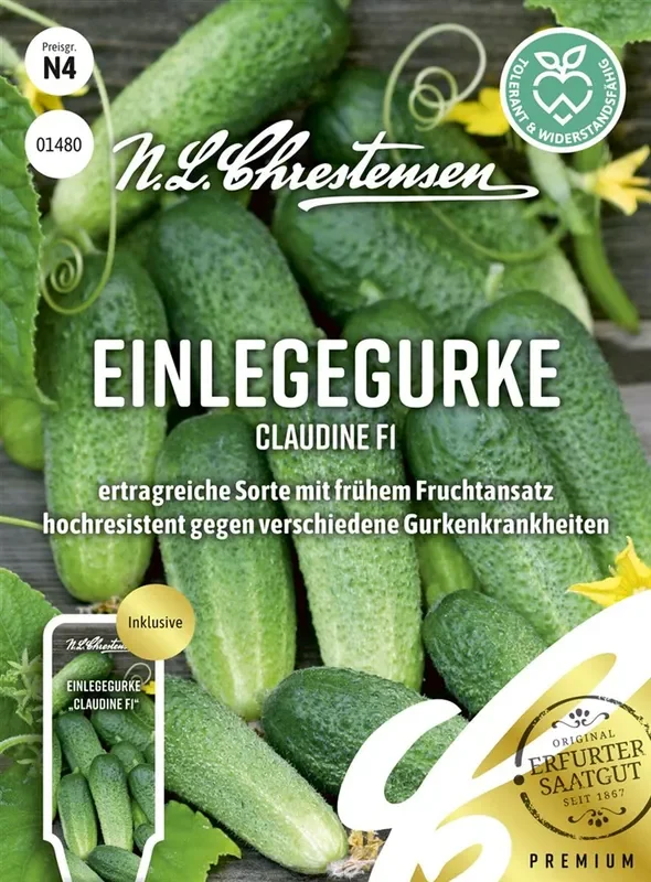 Gurkensamen ‚Claudine F1‘