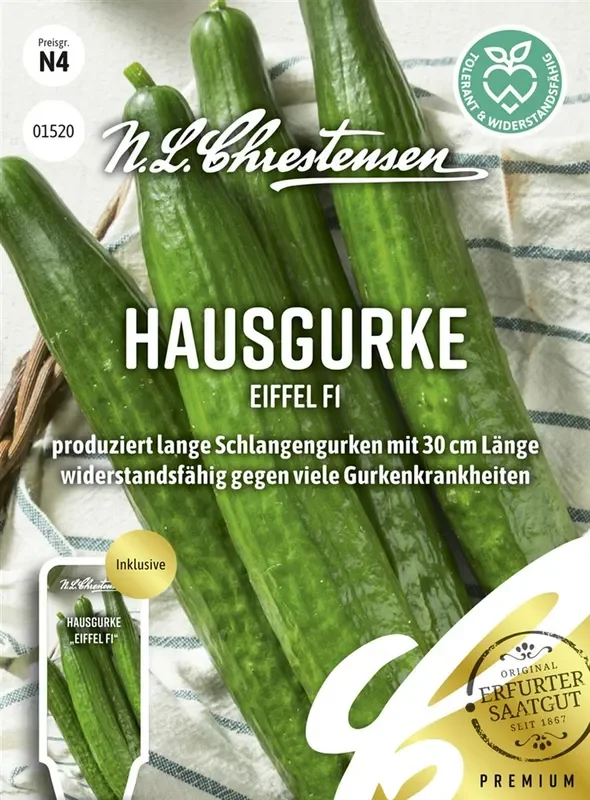 Gurkensamen ‚Eiffel‘