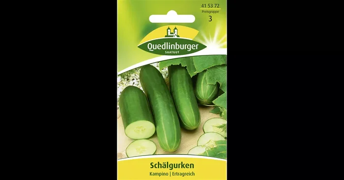 Gurkensamen ‚Kampino‘