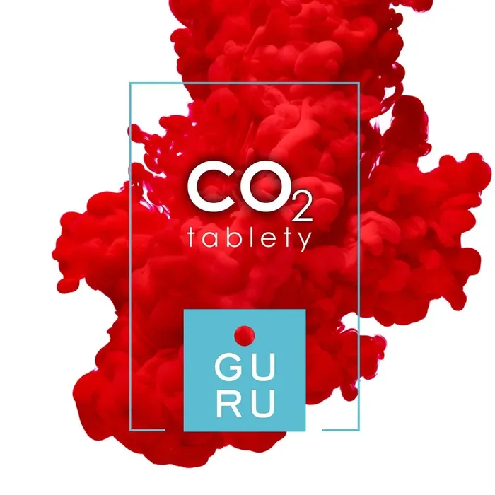 GURU CO2 Tabletten 60 Stk.