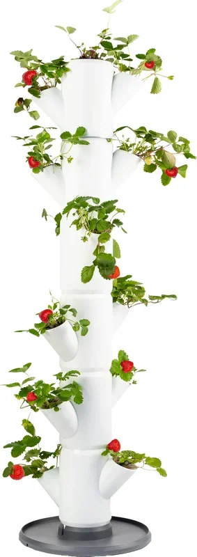 Gusta Garden Erdbeerturm – Sissi Strawberry Classic, anthrazit
