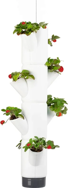 Gusta Garden Erdbeerturm – Sissi Strawberry Hanging, Weiss