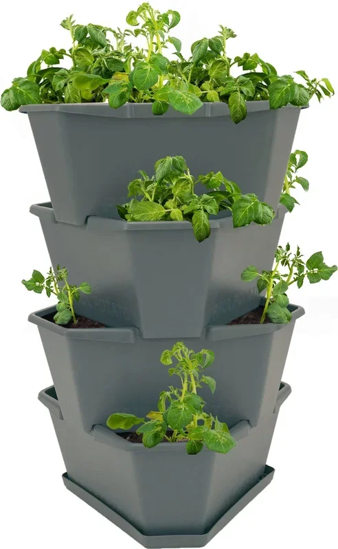 Gusta Garden Paul Potato Starter – 4 Etagen, anthrazit