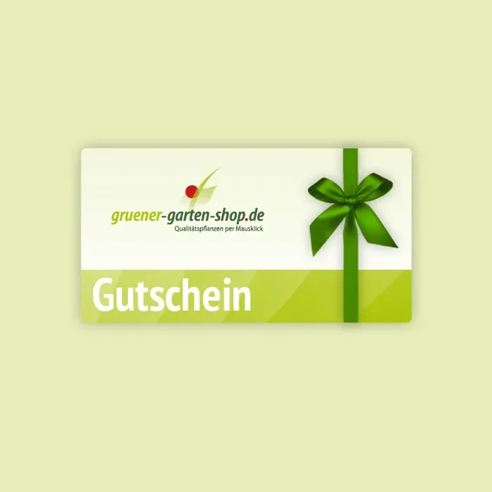 Gutschein 25 Euro