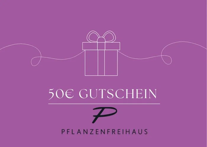 Gutscheine 50 Euro