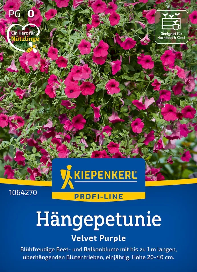 Hängepetuniensamen Velvet Purple, F1, Pillensaat