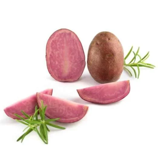 HeiderotPflanzkartoffeln, bio