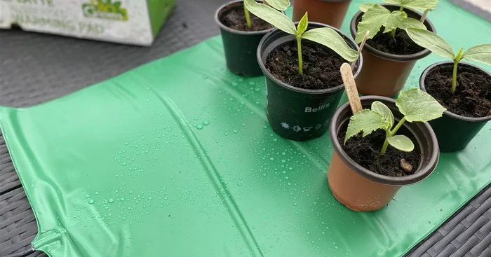 Heizmatte für Pflanzen aus Gummi