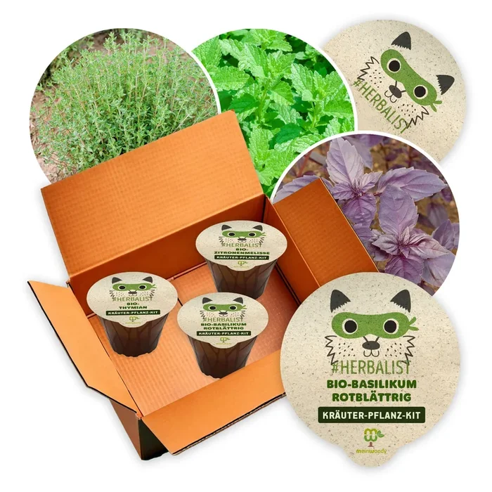 Herbalist – 3 x Kräuter-Pflanz-Kits