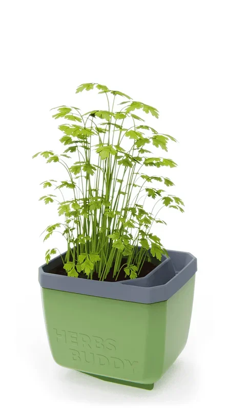 HERBS BUDDY Kräutertopf dunkelgrün