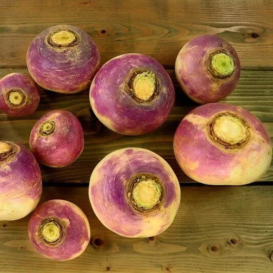 Herbstrübe 0,5 kg