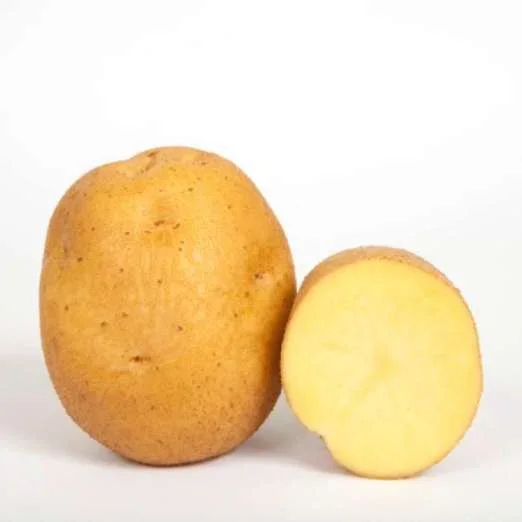 HermesPflanzkartoffeln, bio