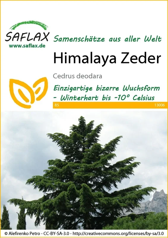 Himalaya Zeder