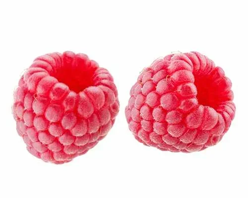 Himbeere Aroma-Queen – Rubus idaeus Aroma Queen 60-70 cm
