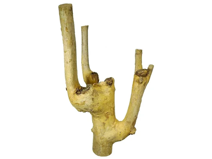 Holz – Kaffee Stamm S