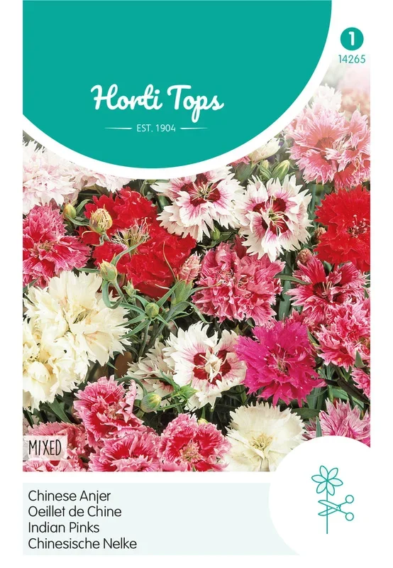 Horti Tops Chinesische Nelke Gefüllte Mischung