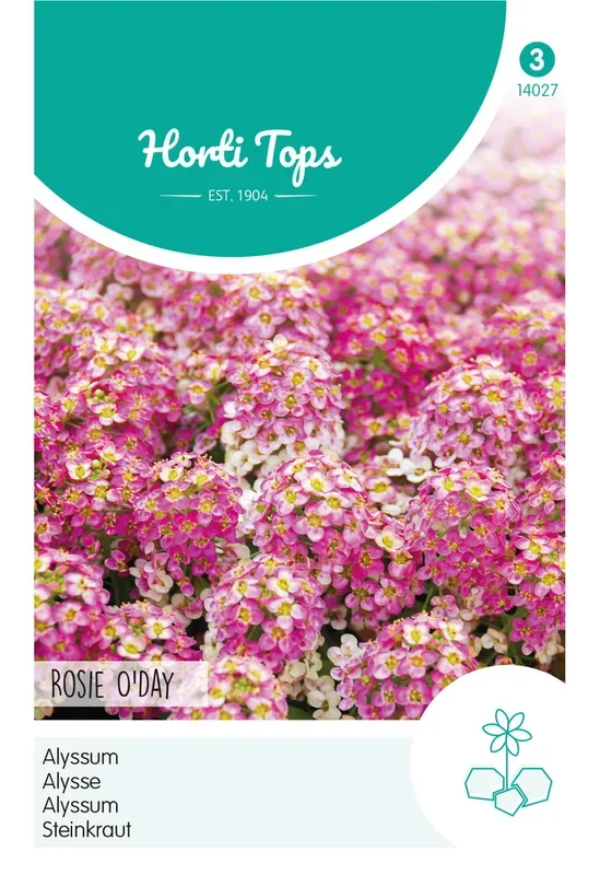 Horti Tops Steinkraut Rosie O’Day
