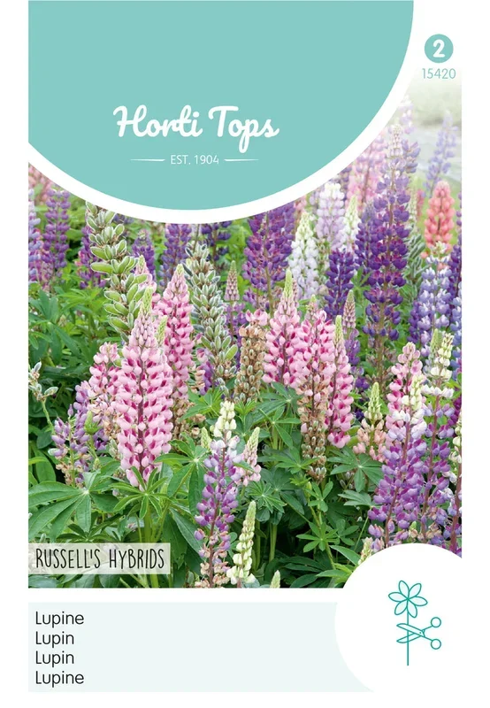 Horti Tops Vielblättrige Lupine Russell’s Hybriden Mischung
