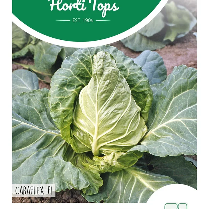 Horti Tops Weißkohl Spitzer Caraflex