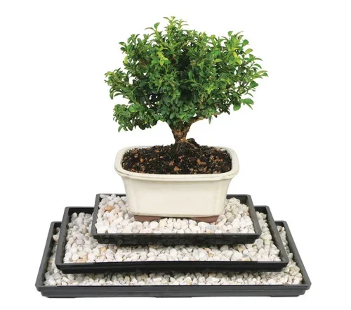 Humidity Tray 13″ – PPT13