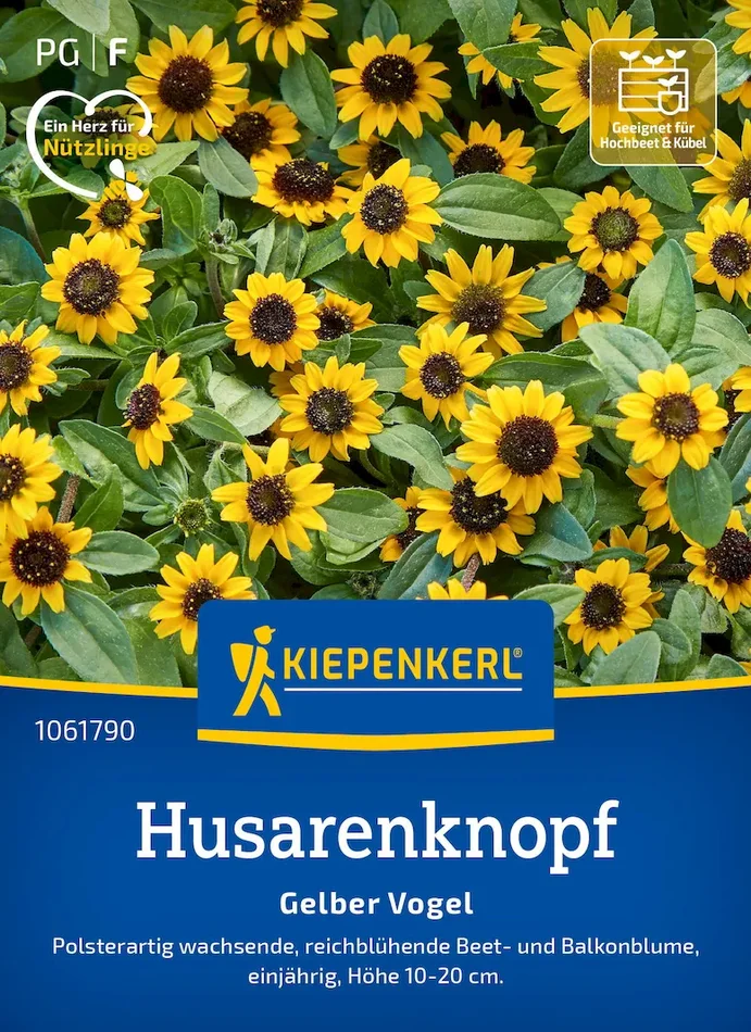 Husarenknopfsamen Gelber Vogel