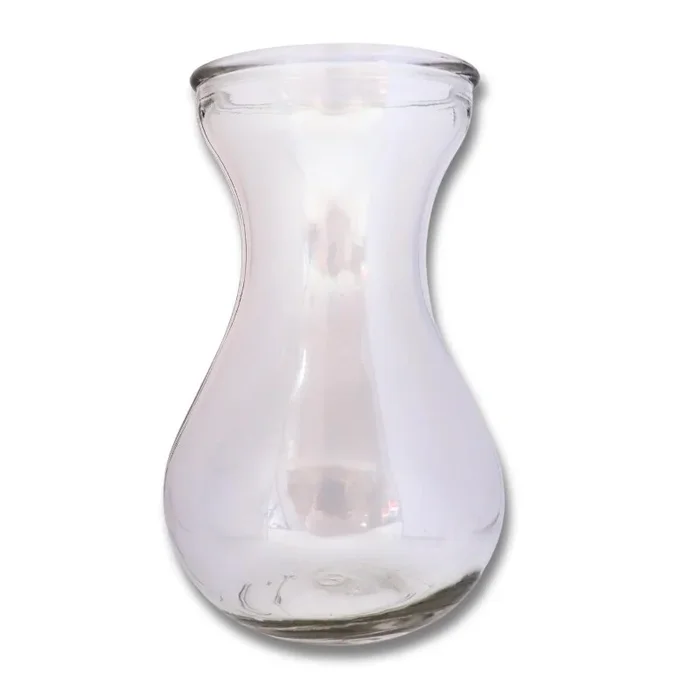 Hyazinthenglas (1 Stück), Ideal für Hyazinthen oder Ableger von Zimmerpflanzen