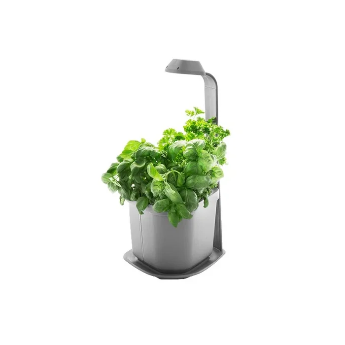 Indoor-Gemüsegarten GENIE grau 3 Pflanzen