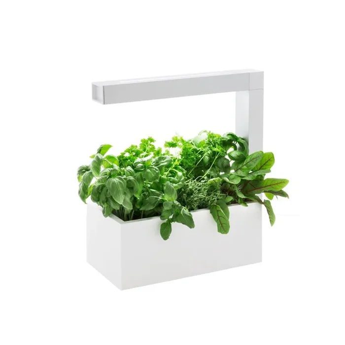 Indoor-Gemüsegarten HERBIE weiß 6 Pflanzen