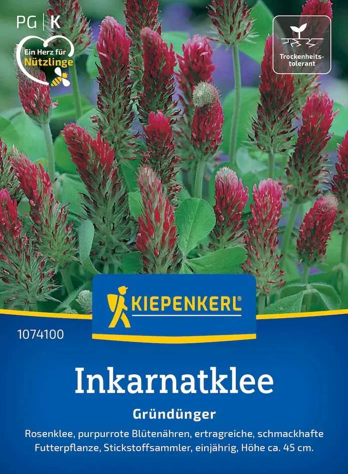 Inkarnatkleesamen Rosenklee