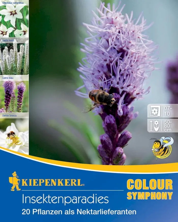 Insektenparadies