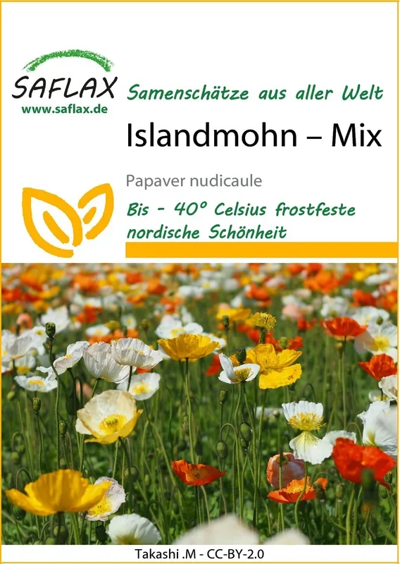 Islandmohn Mix