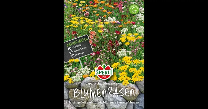 Japanischer-Blumenrasen