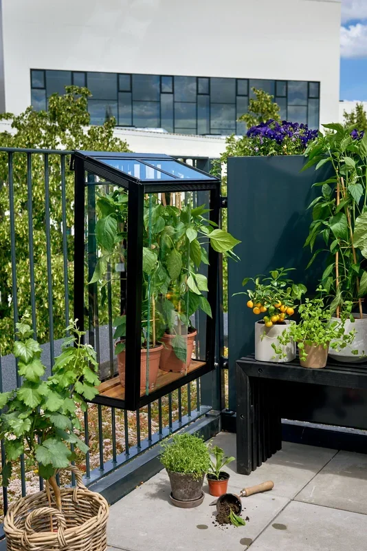 Juliana Gewächshaus Urban für den Balkon