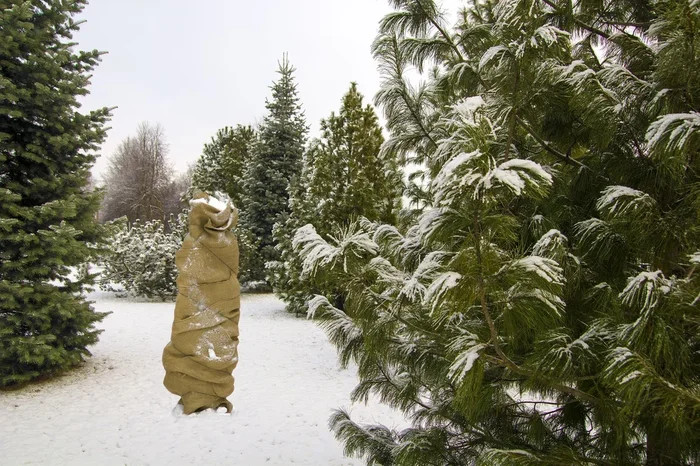 Jute-Schutzgewebe Natur (100×500 cm)
