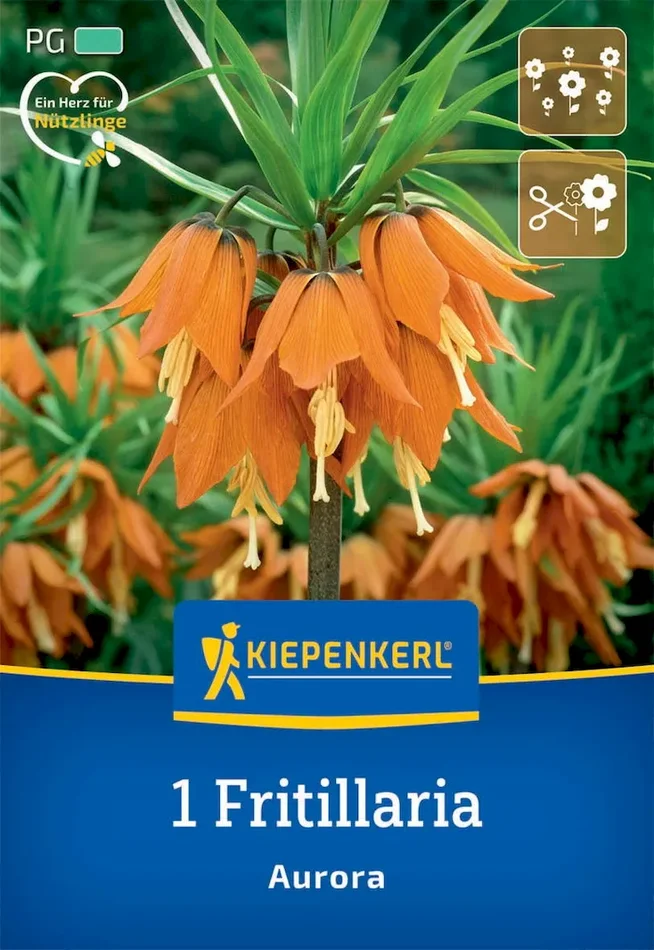 Kaiserkrone Aurora