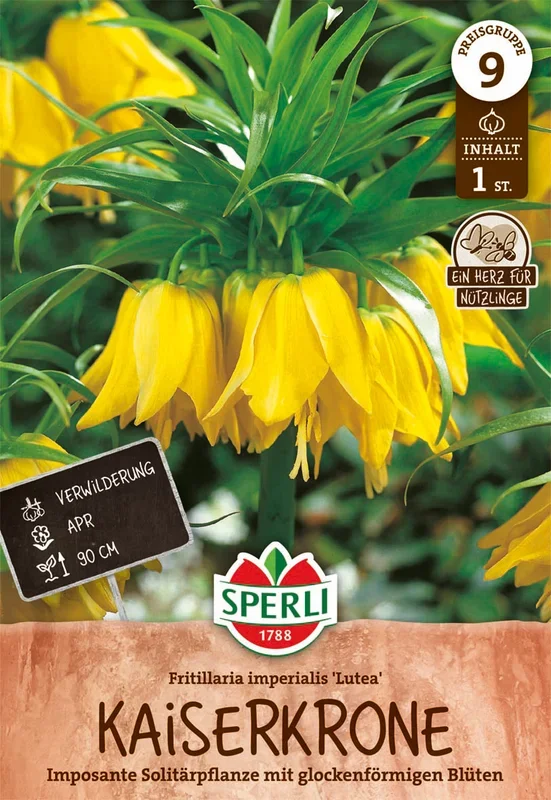 Kaiserkrone Lutea (1 Stück)