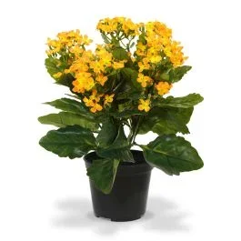 Kalanchoe Kunstpflanze 30 cm orange in Topf
