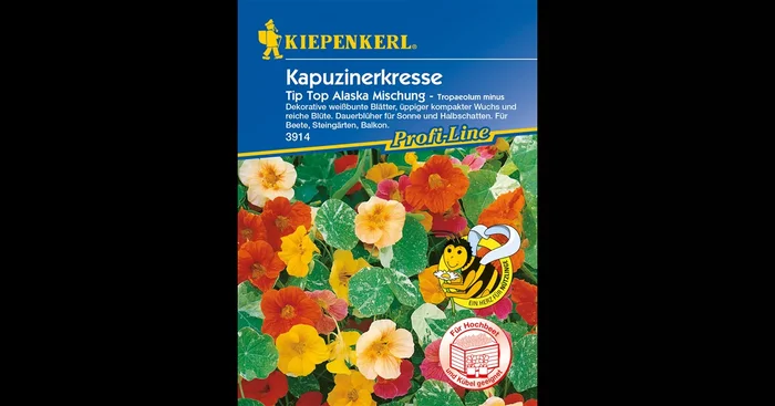 Kapuzinerkresse ‚Tip-Top Alaska‘