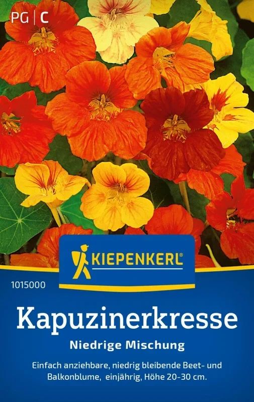Kapuzinerkresse Niedrige Mischung, gelingsicher – niedrige Beet- und Balkonblume – Höhe 20-30 cm
