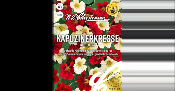 Kapuzinerkresse Night&Day