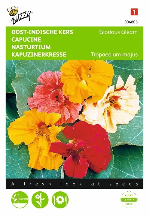 Kapuzinerkresse Saen „Glorious Gleam“