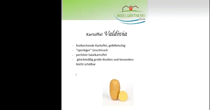 Kartoffel Valdivia 5 kg