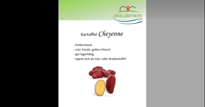 Kartoffeln Cheyenne festkochend 1 kg