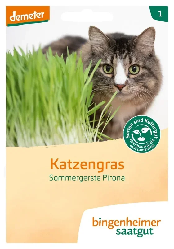 Katzengras Bio-Blumen-Samen