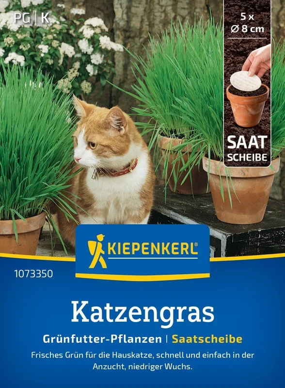 Katzengras Frischgrün Mischung (Saatscheibe)