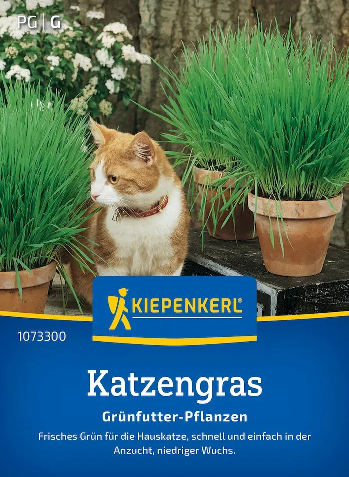 Katzengrassamen Frischgrün Mischung