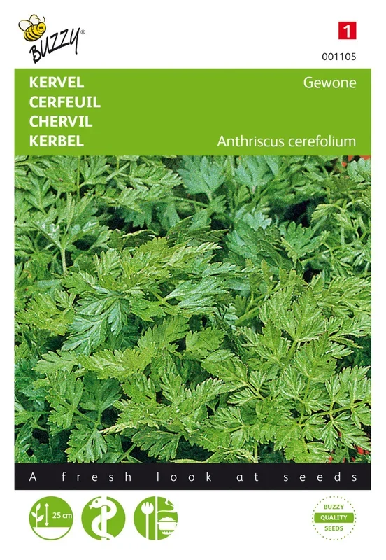 Kerbel Gewöhnlicher (Einfacher)