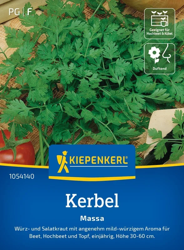 Kerbel Massa